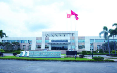 A great story about trust