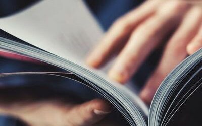 Halbjahresbilanz 2019: Rekord-Cashflow bestätigt Portfolio- Strategie und interne Strukturreform