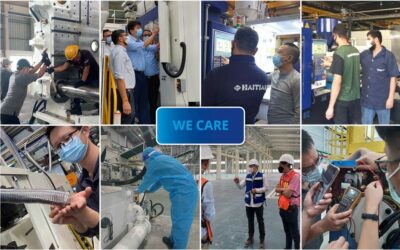 Flying Experts – like a rock in the surf