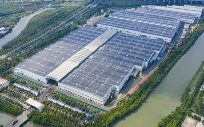 Journey to the Recycled Plastic